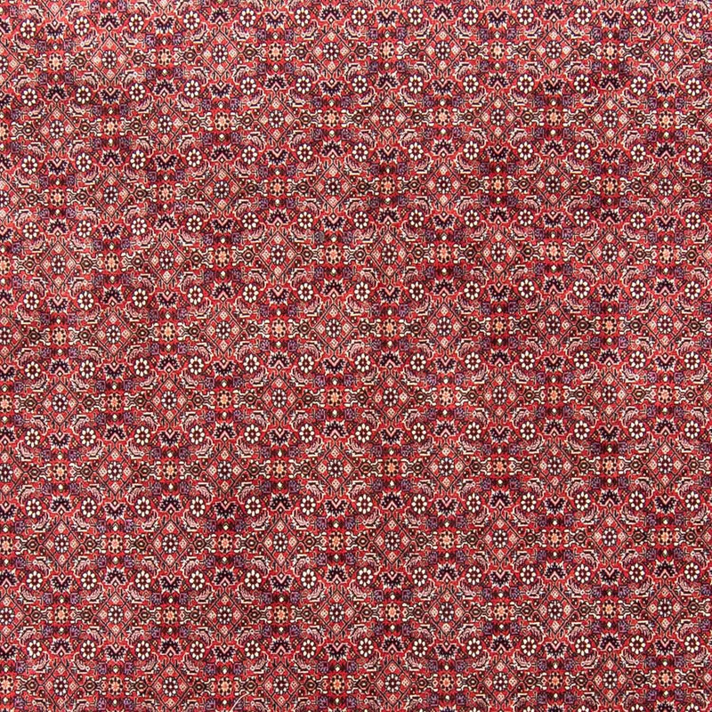 Perser Rug - Bidjar - 343 x 251 cm - light red