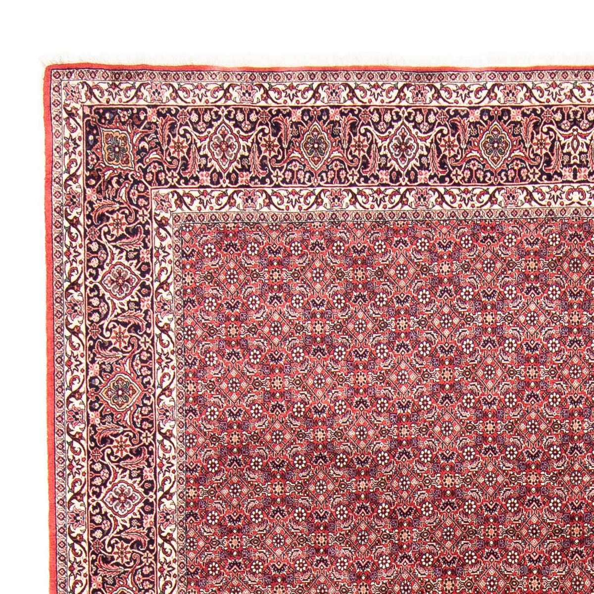 Perser Rug - Bidjar - 343 x 251 cm - light red