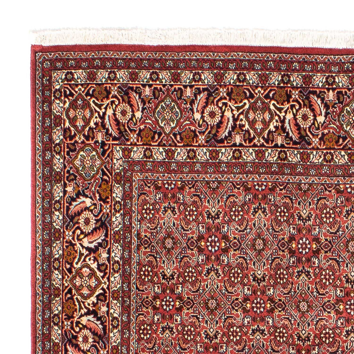 Perser Rug - Bidjar square  - 197 x 190 cm - light red