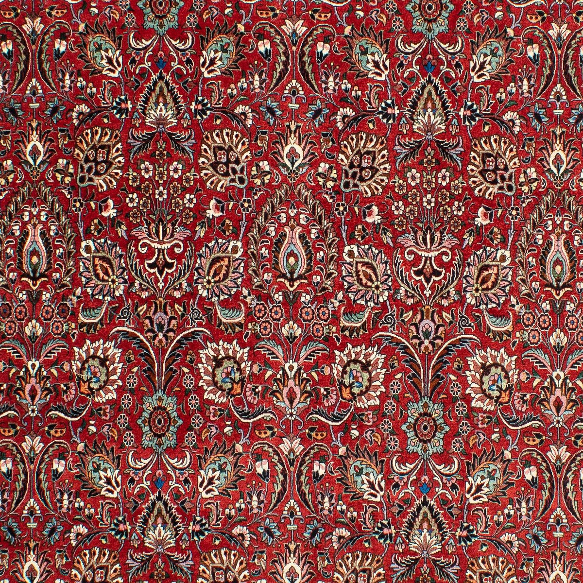 Perser Rug - Bidjar - 286 x 202 cm - dark red