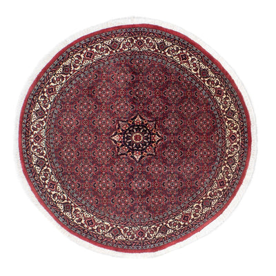 Bidjar Rug 150x150cm - Persian Rugs - dark red
