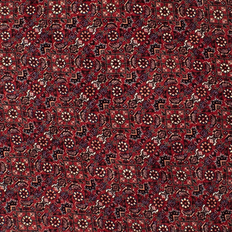 Perser Rug - Bidjar round  - 150 x 150 cm - dark red