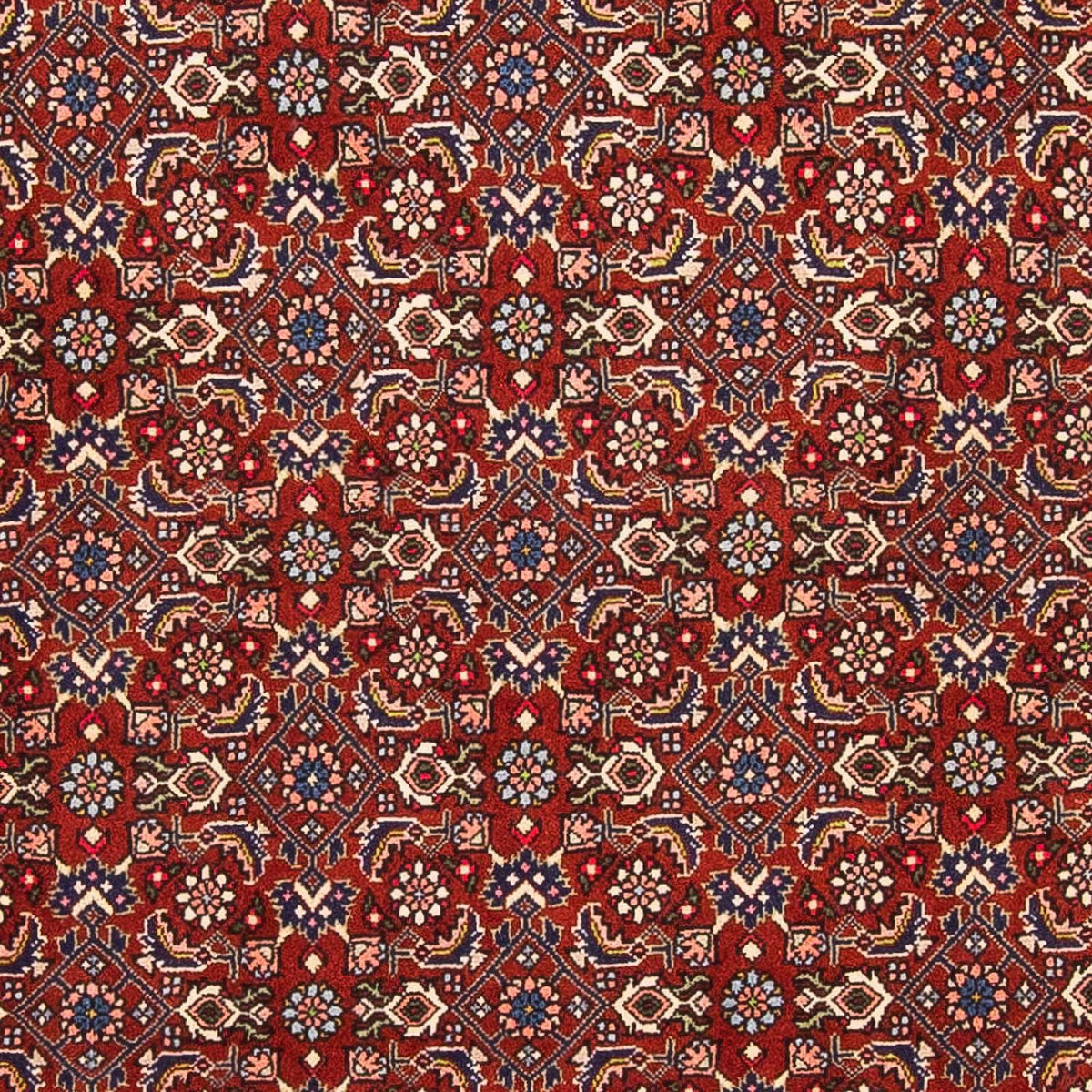 Perser Rug - Bidjar - 160 x 108 cm - dark red