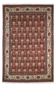 Kashkuli Rug 261x175cm - Persian Rugs