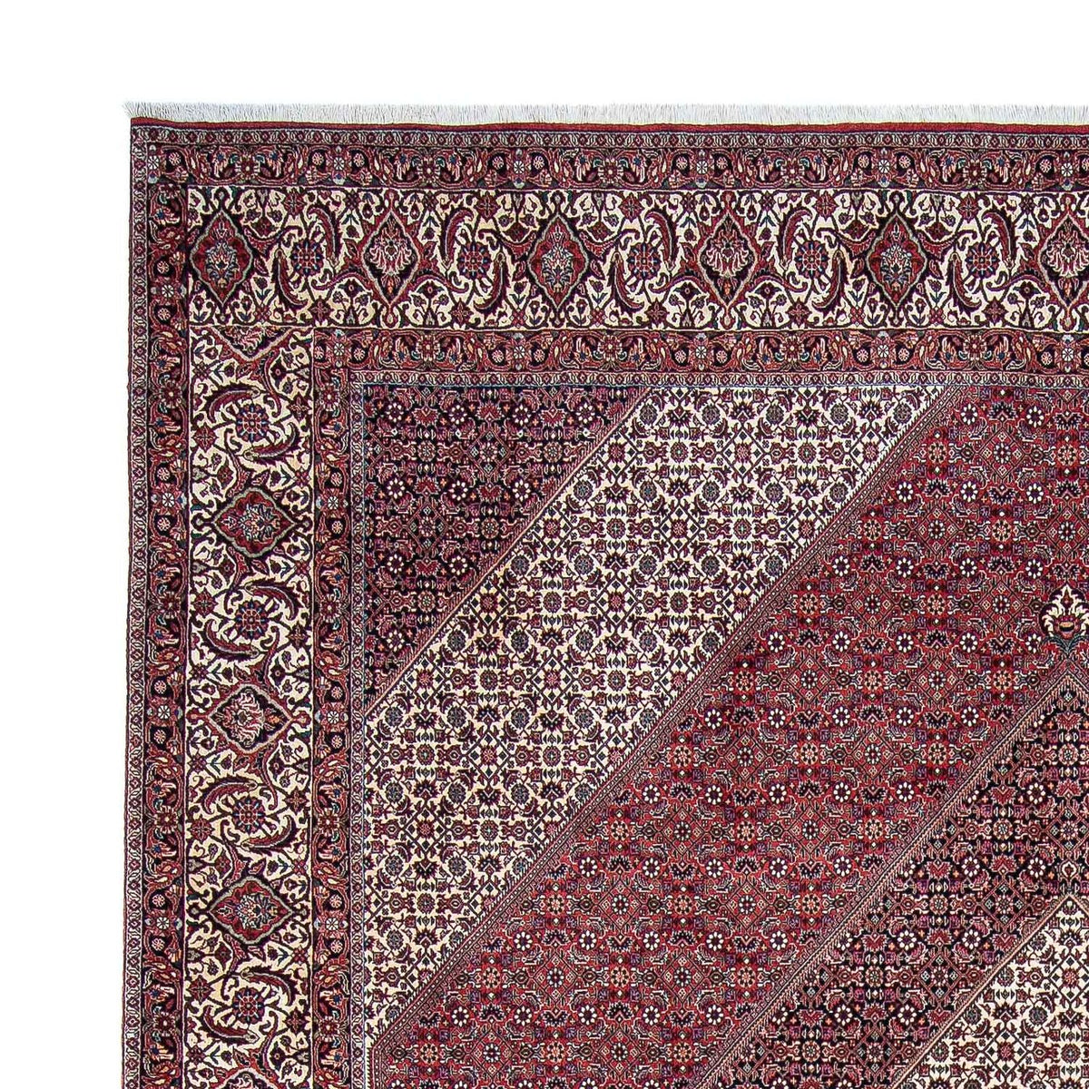 Bidjar Rug 300x340cm - Persian Rugs