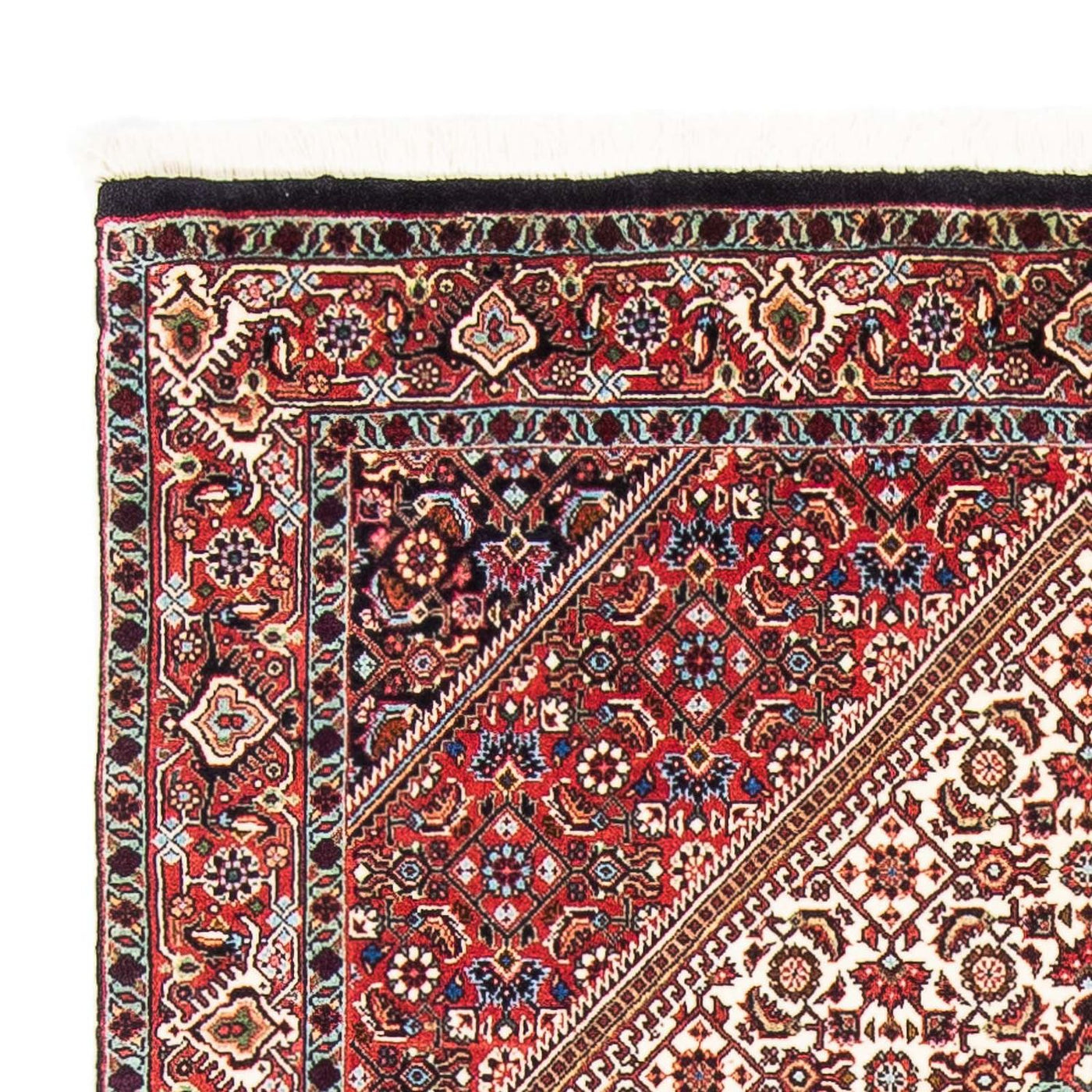 Bidjar Rug 177x108cm - Persian Rugs