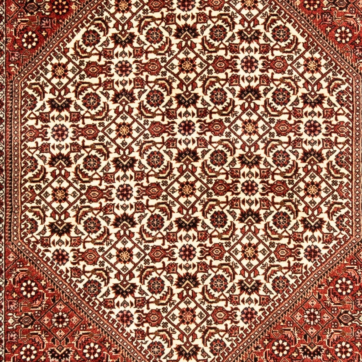 Runner Perser Rug - Bidjar - 304 x 83 cm - multicolored
