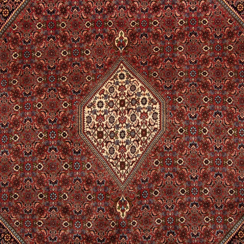 Perser Rug - Bidjar - 329 x 255 cm - brown