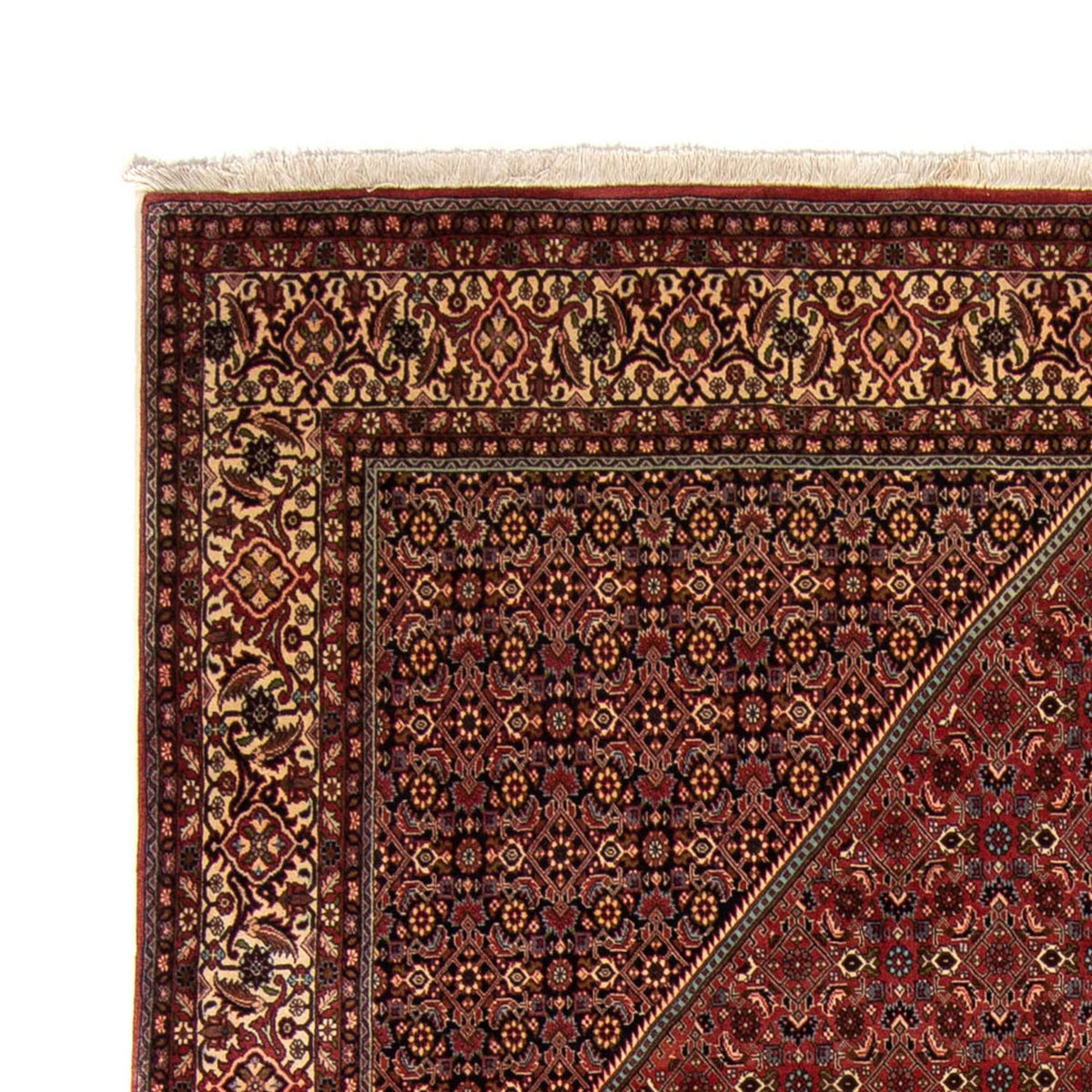 Perser Rug - Bidjar - 329 x 255 cm - brown