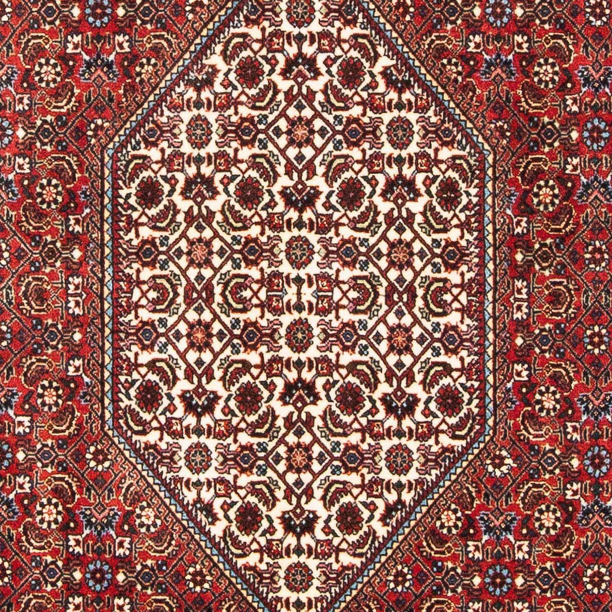 Perser Rug - Bidjar - 183 x 111 cm - red