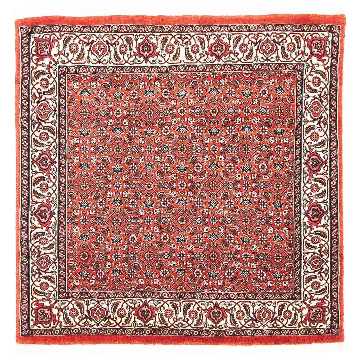 Perser Rug - Bidjar square  - 97 x 95 cm - red