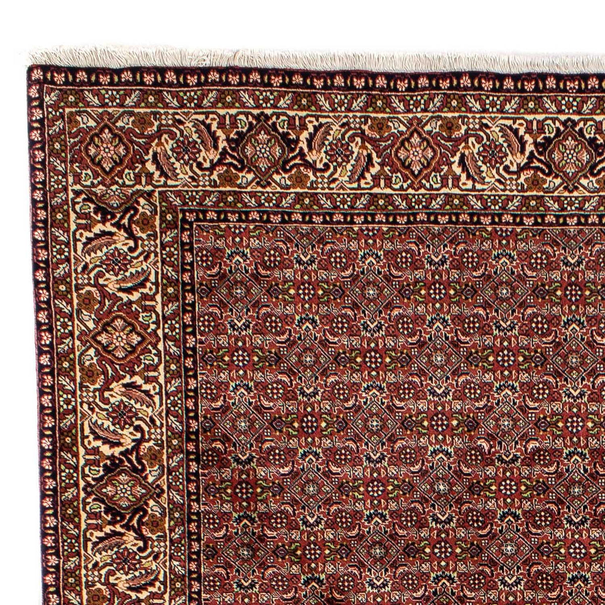 Bidjar Rug 202x298cm - Persian Rugs