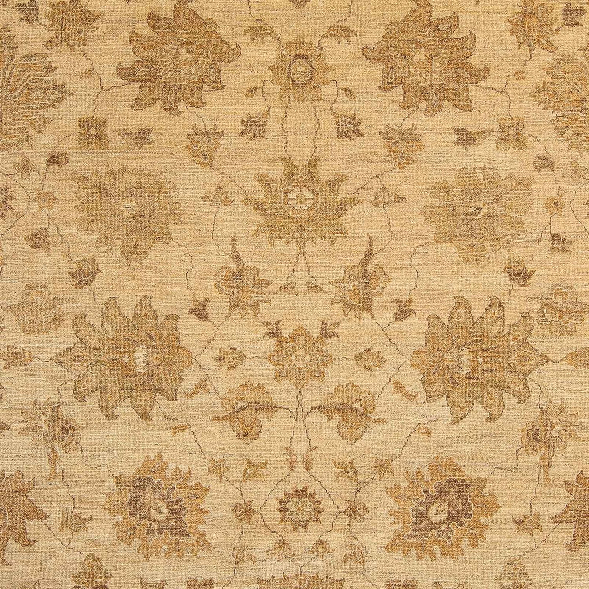 Ziegler Rug - 317 x 236 cm - light brown