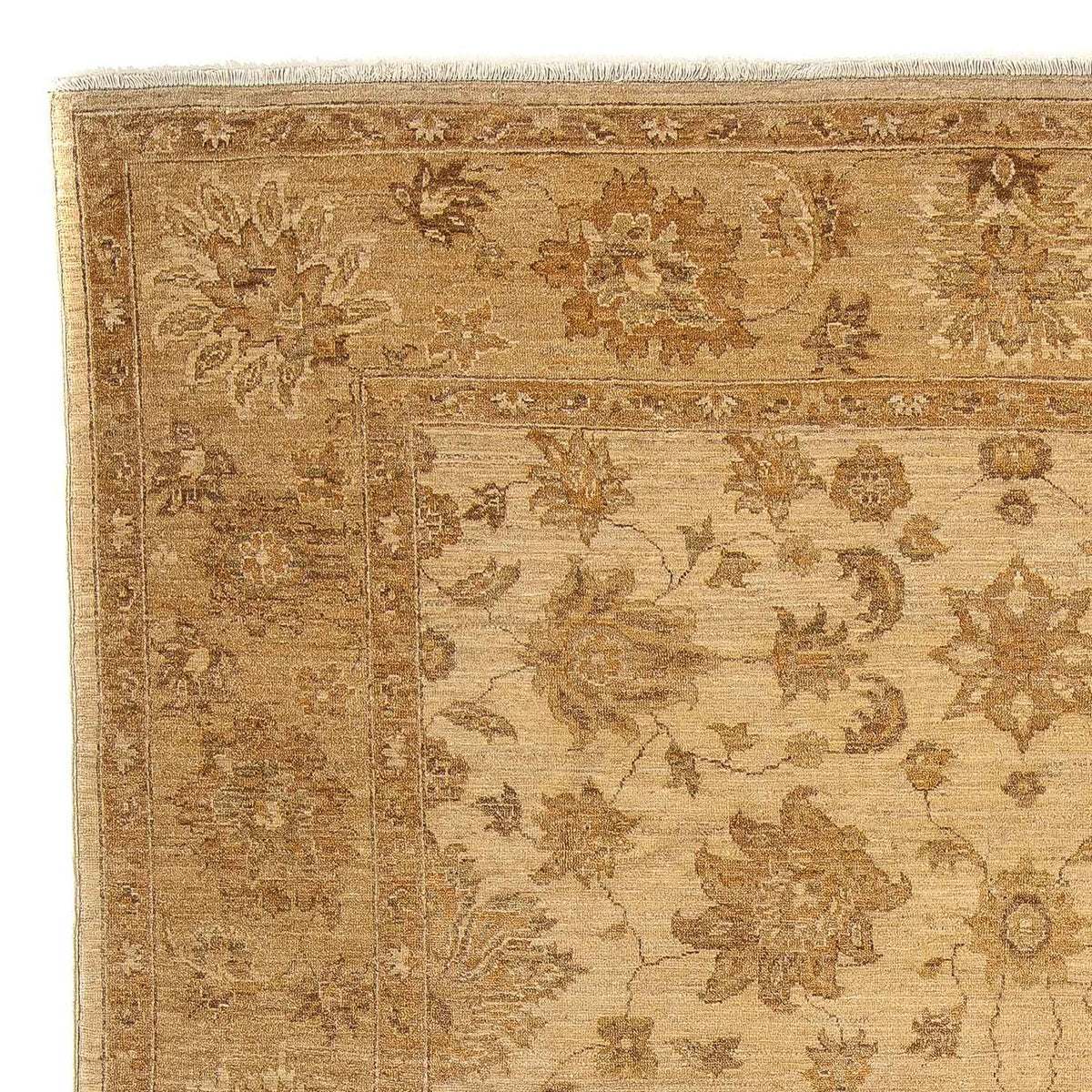 Ziegler Rug - 317 x 236 cm - light brown