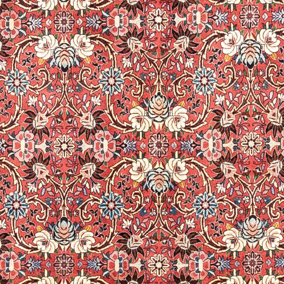 Perser Rug - Bidjar - 360 x 258 cm - red