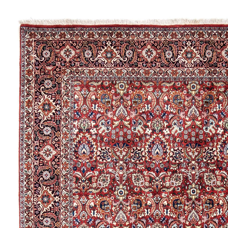 Perser Rug - Bidjar - 343 x 255 cm - red