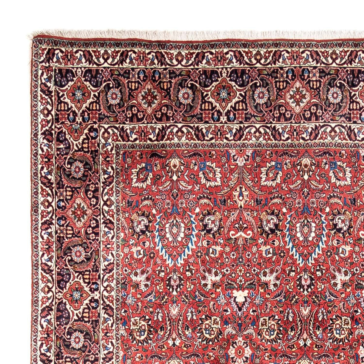 Bidjar - Takab Rug 250x346cm - Persian Rugs