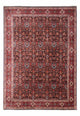Bidjar - Takab Rug 342x256cm - Persian Rugs