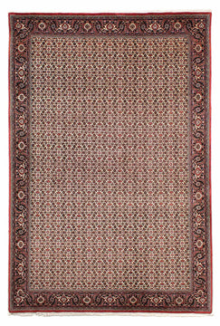 Bidjar Rugs