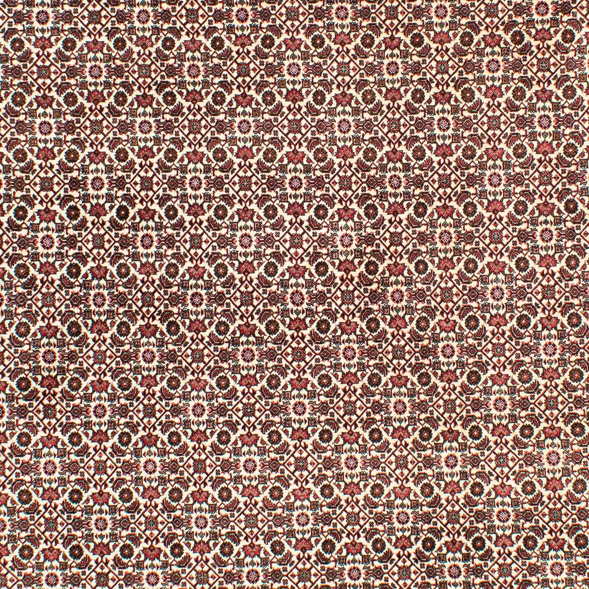 Perser Rug - Bidjar - 294 x 200 cm - beige