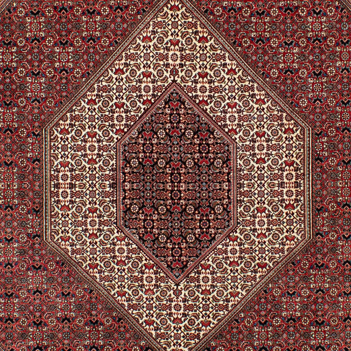 Perser Rug - Bidjar - 305 x 203 cm - dark red