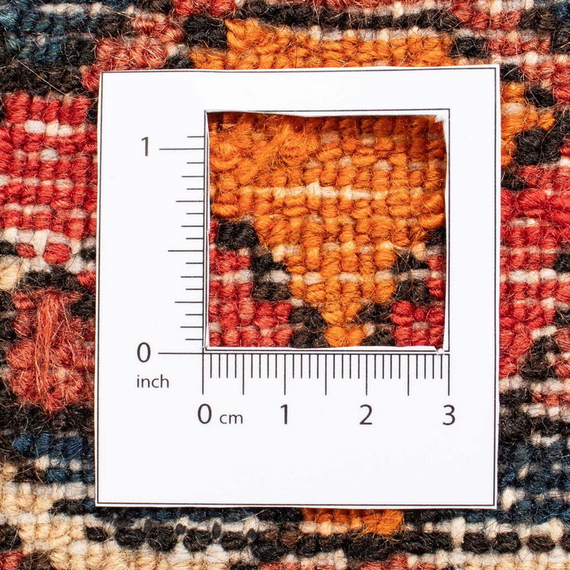 Bakhtiari Rug 209x313cm - Persian Rugs