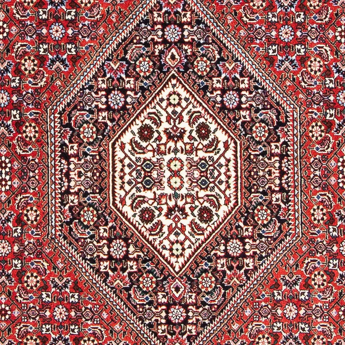 Perser Rug - Bidjar - 173 x 111 cm - light red