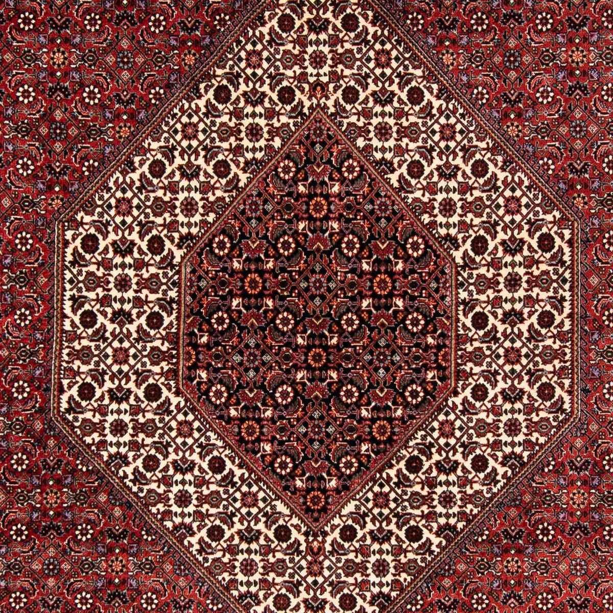 Perser Rug - Bidjar - 254 x 174 cm - dark red