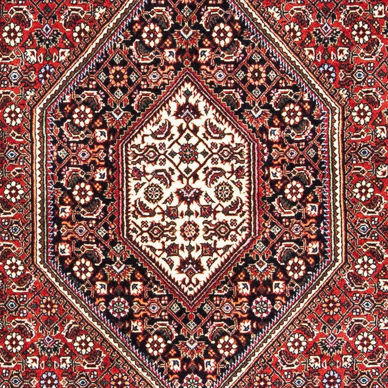 Bidjar Rug 182x109cm - Persian Rugs