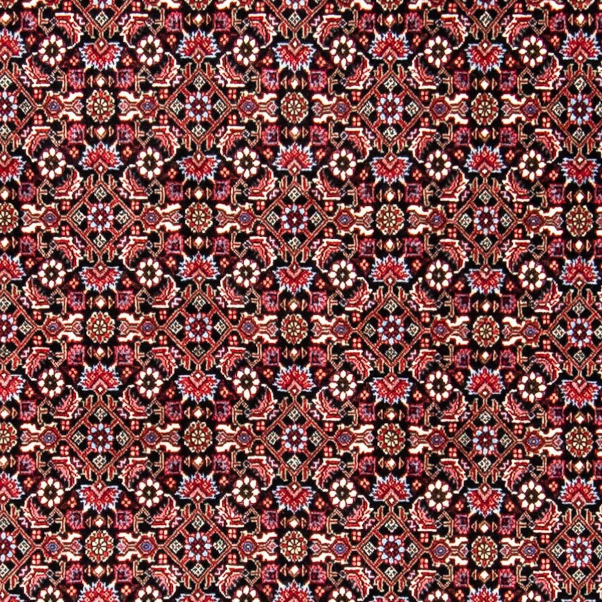 Perser Rug - Bidjar - 250 x 168 cm - red