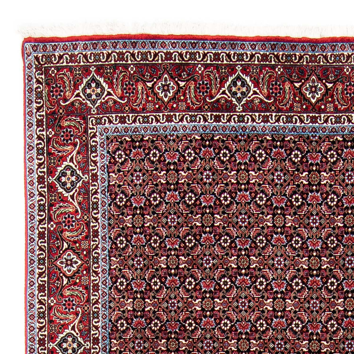 Bidjar Rug 168x250cm - Persian Rugs