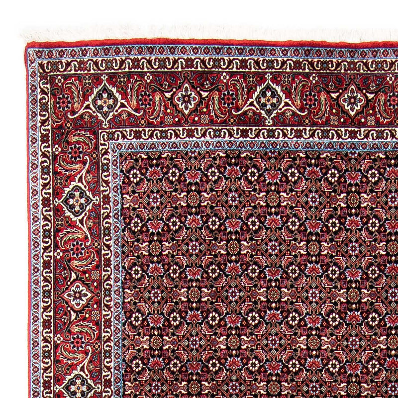 Perser Rug - Bidjar - 250 x 168 cm - red