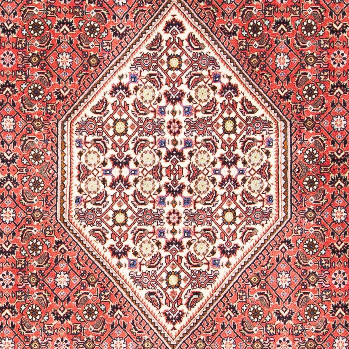 Perser Rug - Bidjar - 179 x 108 cm - light red