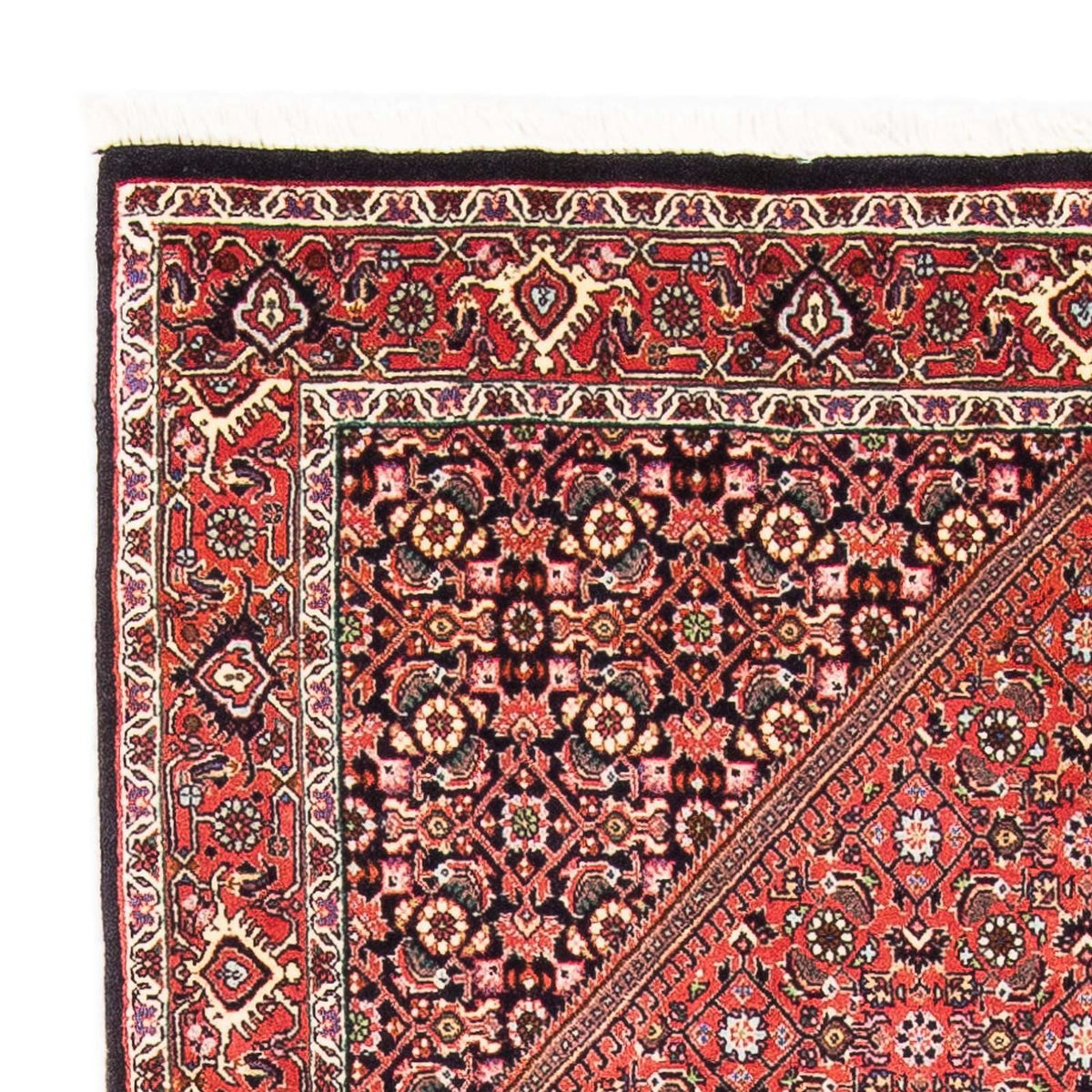 Bidjar Rug 108x179cm - Persian Rugs