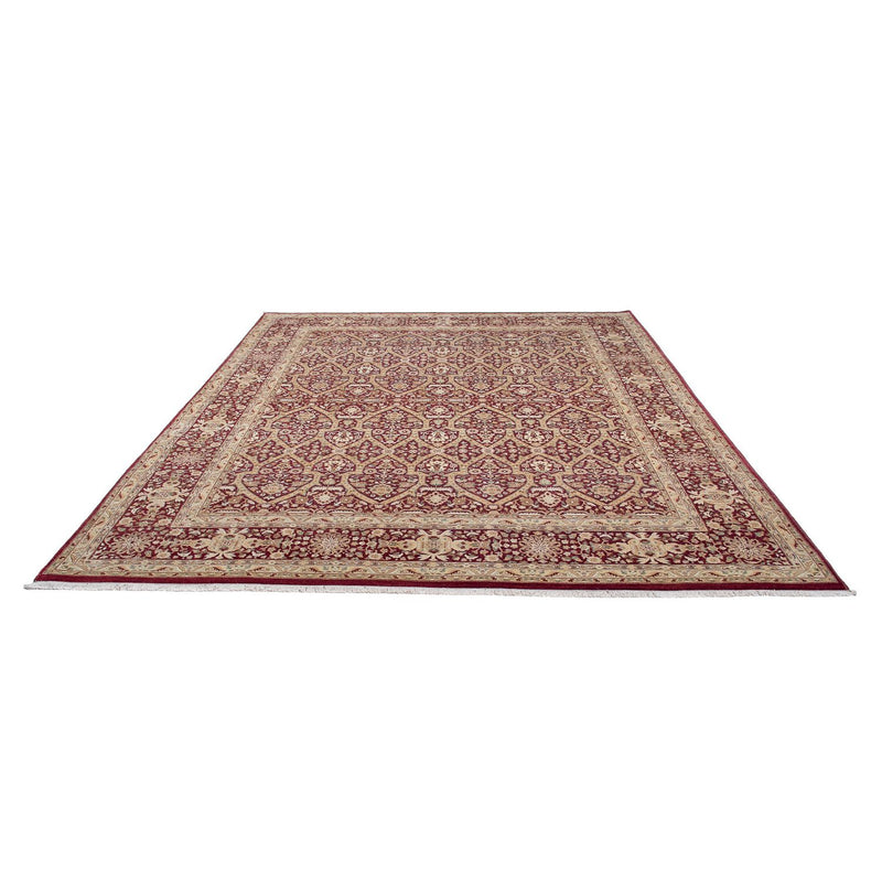 Ziegler Rug - 304 x 244 cm - dark red
