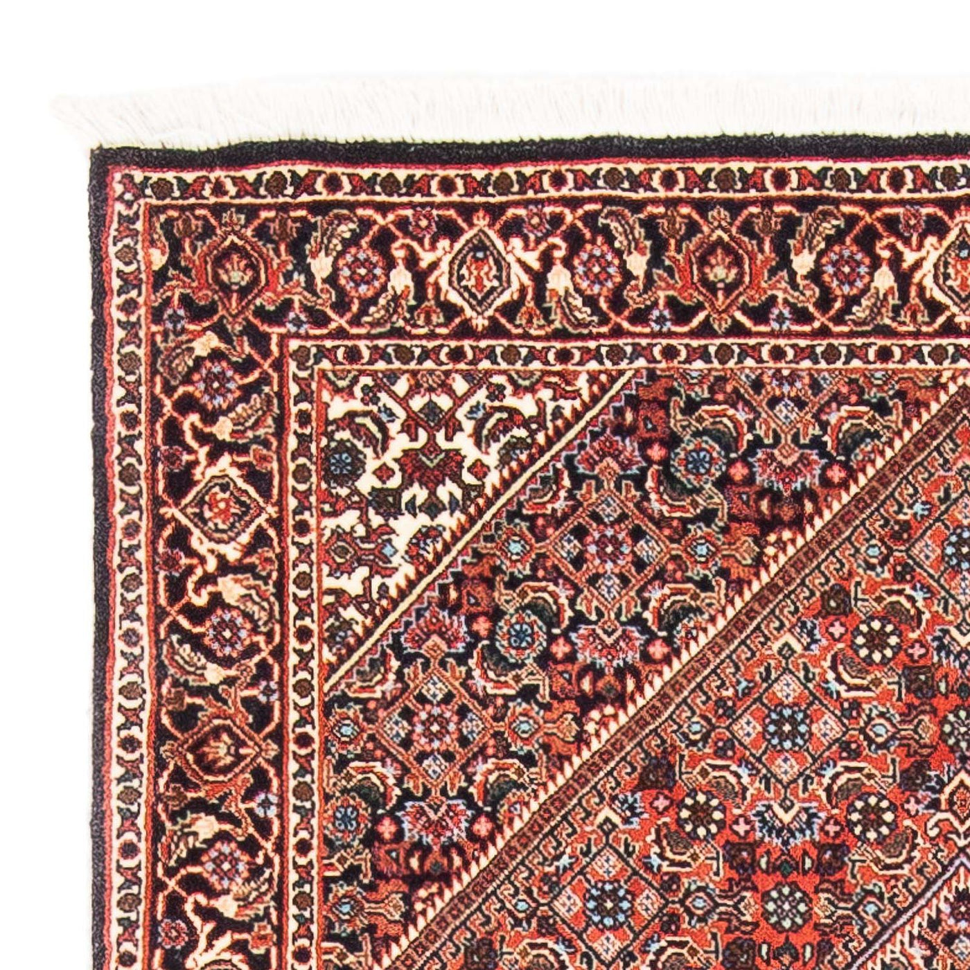 Bidjar Rug 145x91cm - Persian Rugs