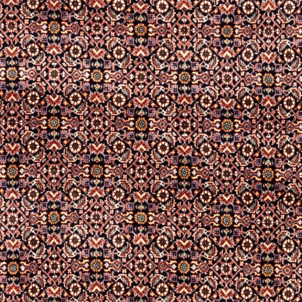 Perser Rug - Bidjar - 341 x 259 cm - rust