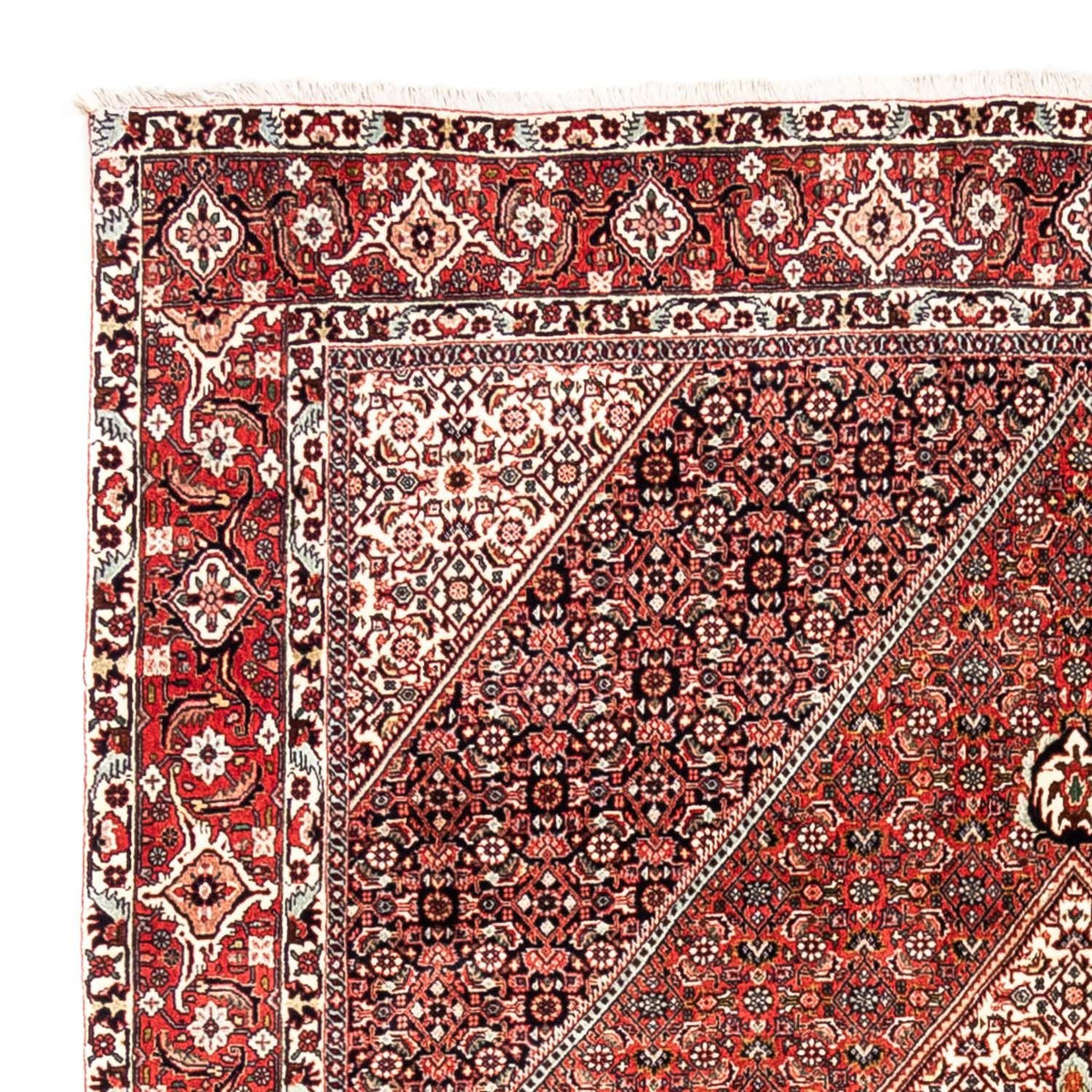 Bidjar - Takab Rug 195x285cm - Persian Rugs