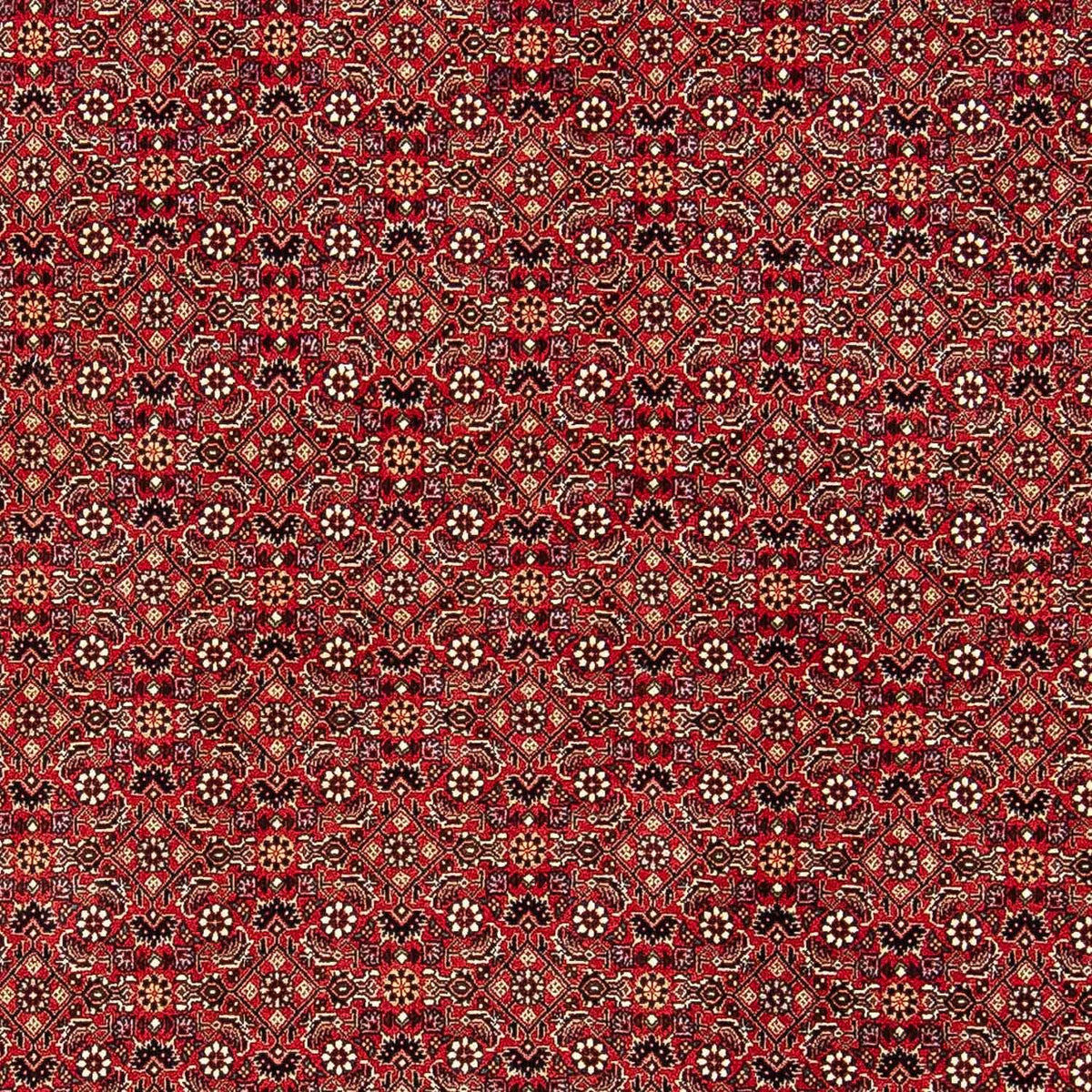 Perser Rug - Bidjar - 248 x 174 cm - red