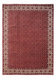 Bidjar - Takab Rug 252x340cm - Persian Rugs