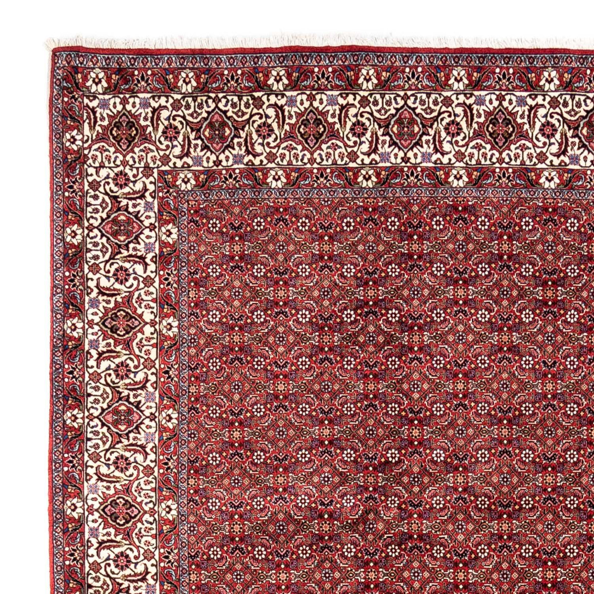 Bidjar - Takab Rug 252x340cm - Persian Rugs