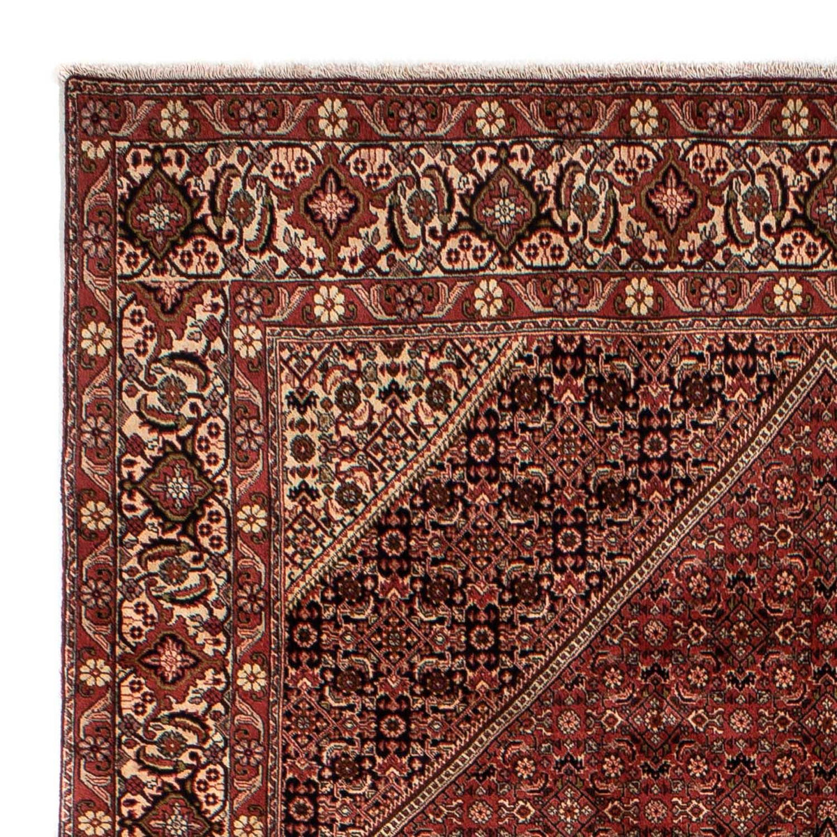 Perser Rug - Bidjar - 293 x 200 cm - brown