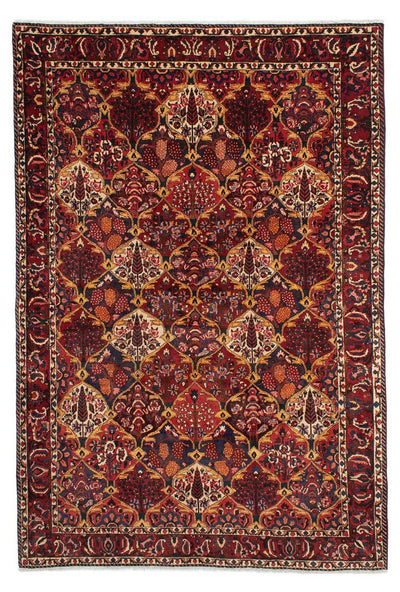 Bakhtiari Rug 211x305cm - Persian Rugs