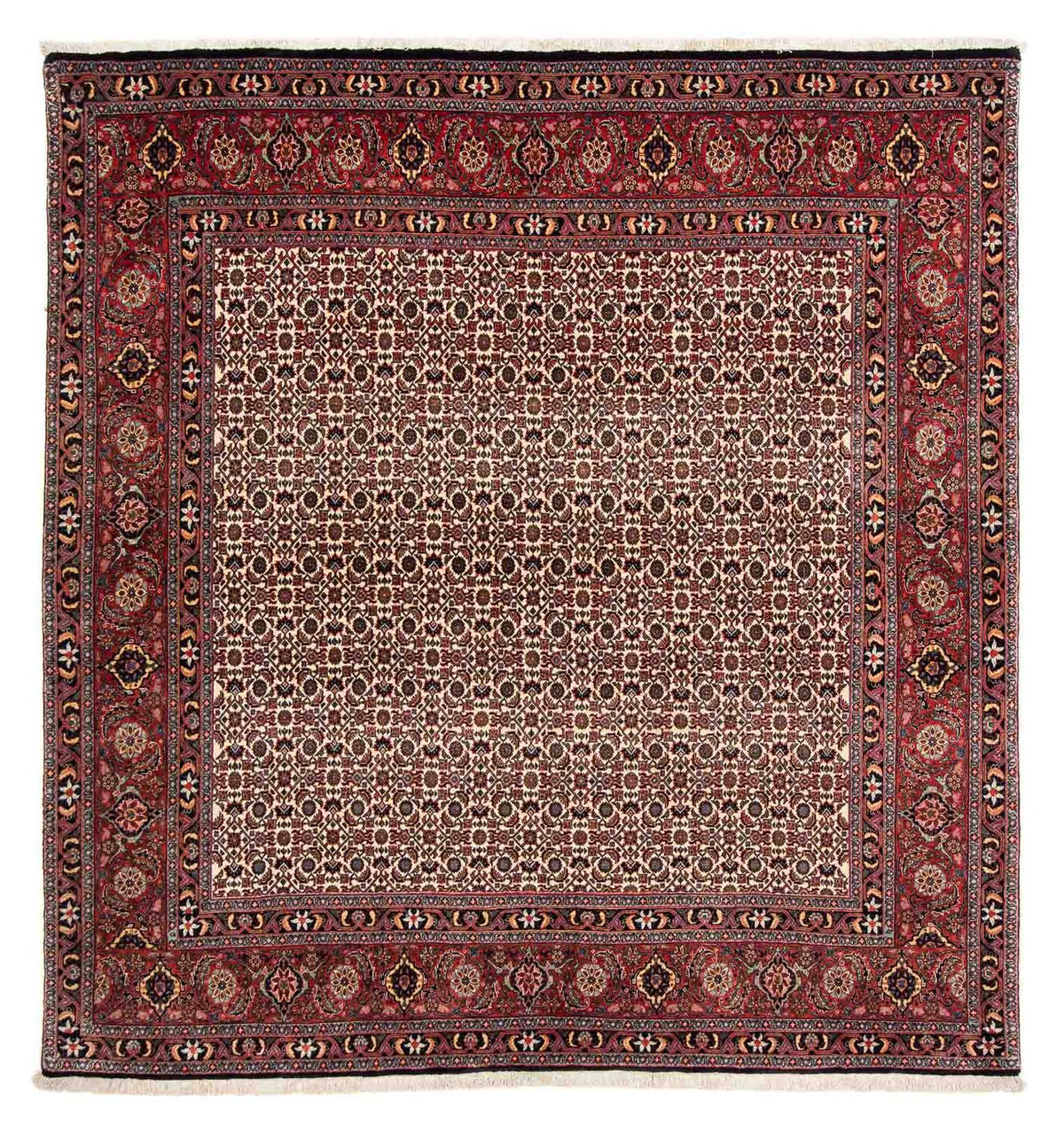 Perser Rug - Bidjar square  - 204 x 201 cm - dark red