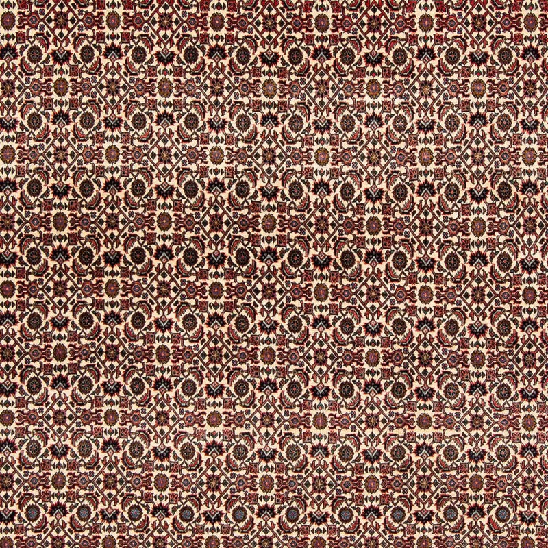 Perser Rug - Bidjar square  - 204 x 201 cm - dark red