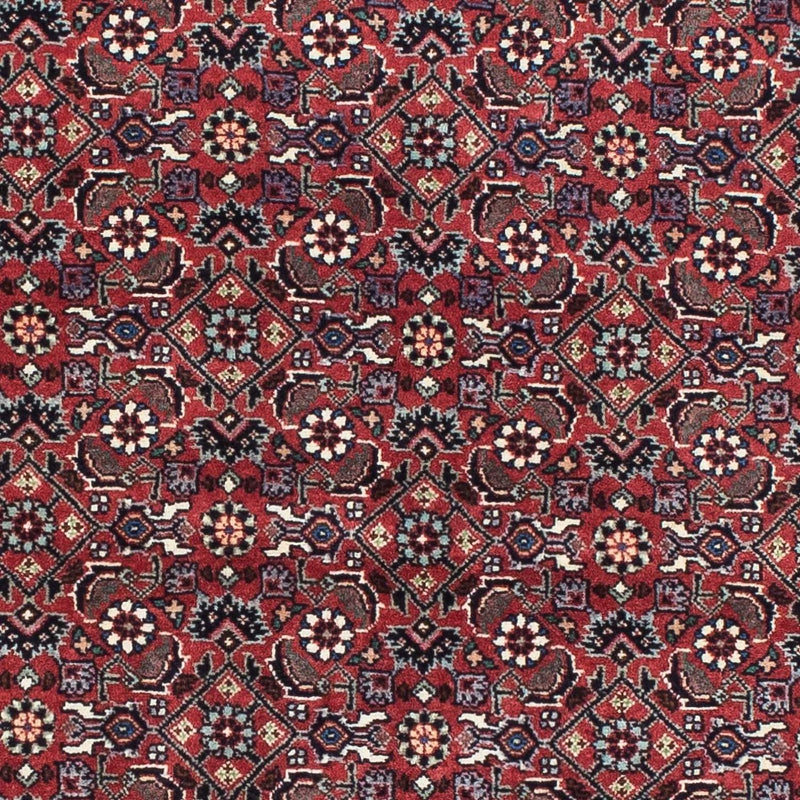 Bidjar Rug 193x176cm - Persian Rugs