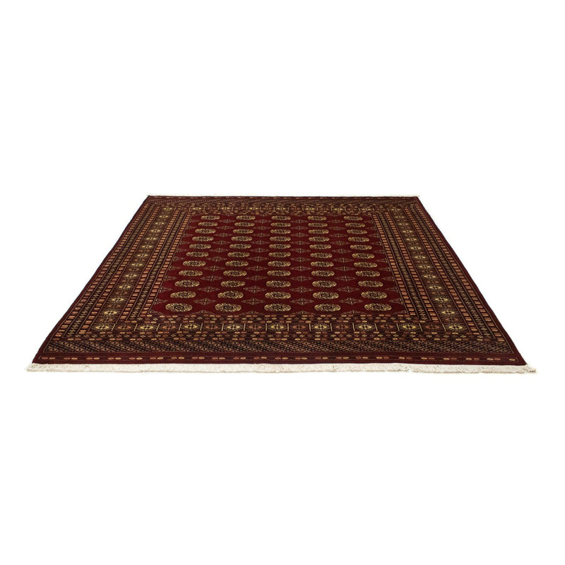 Afghan Rug - Bukhara square  - 205 x 193 cm - red