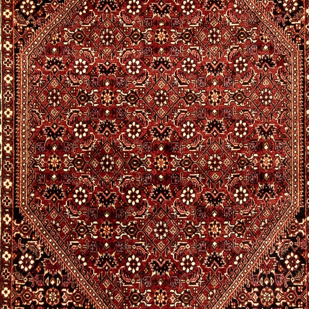 Runner Perser Rug - Bidjar - 292 x 80 cm - multicolored