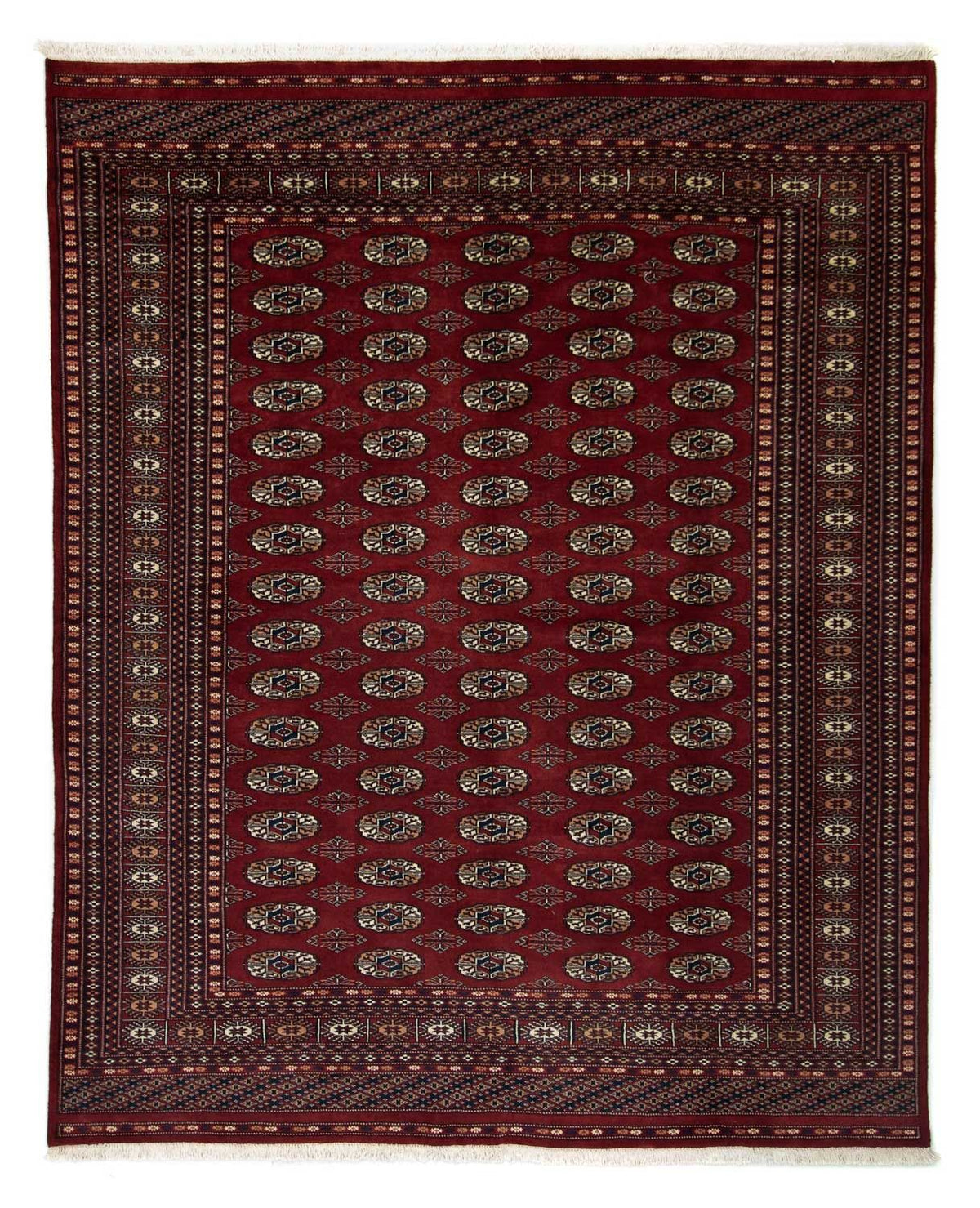 Afghan Rug - Bukhara - 244 x 198 cm - red
