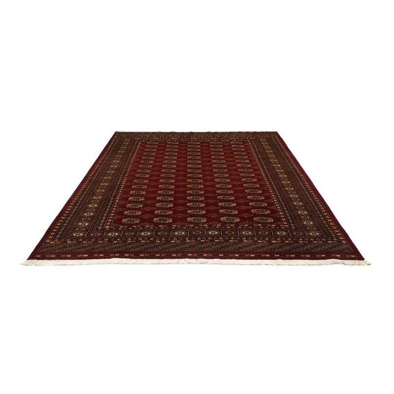 Afghan Rug - Bukhara - 240 x 203 cm - red